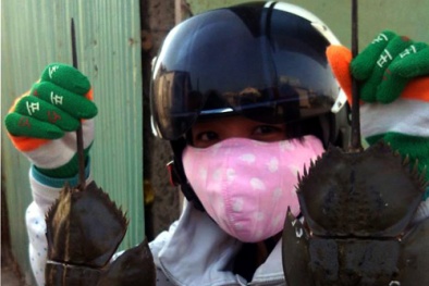 Coi chừng ngộ độc khi ăn đặc sản “sam biển”